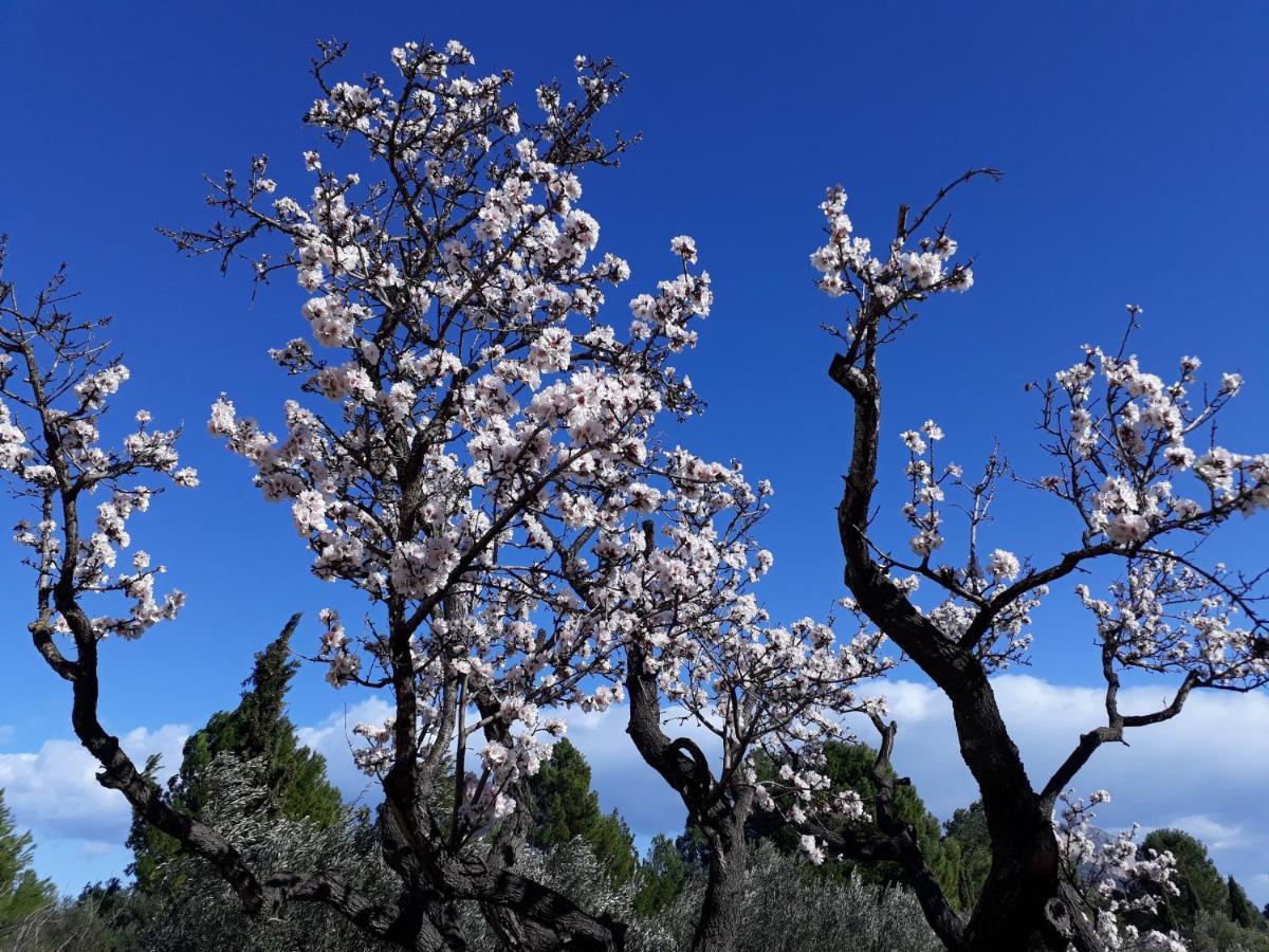 Casa Pinza Daire Denia Dış mekan fotoğraf